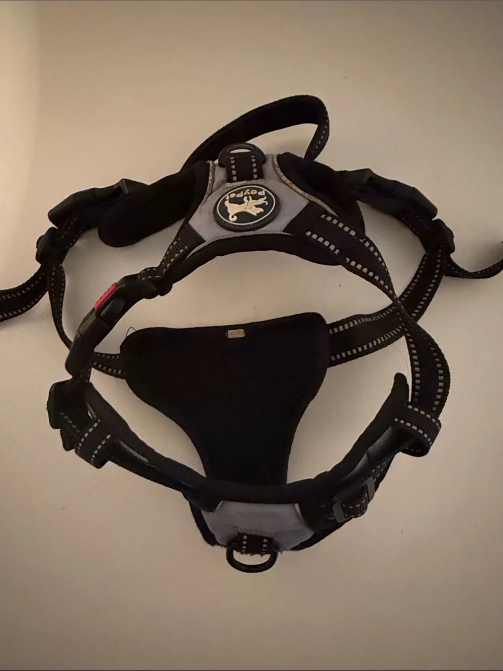 Adjustable No-Pull Dog Harness in Blue and Black - Medium